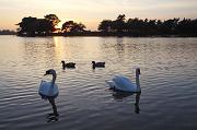 C01D2733 Sunset Hatchet Pond near Beaulieu Copyright Mike Read